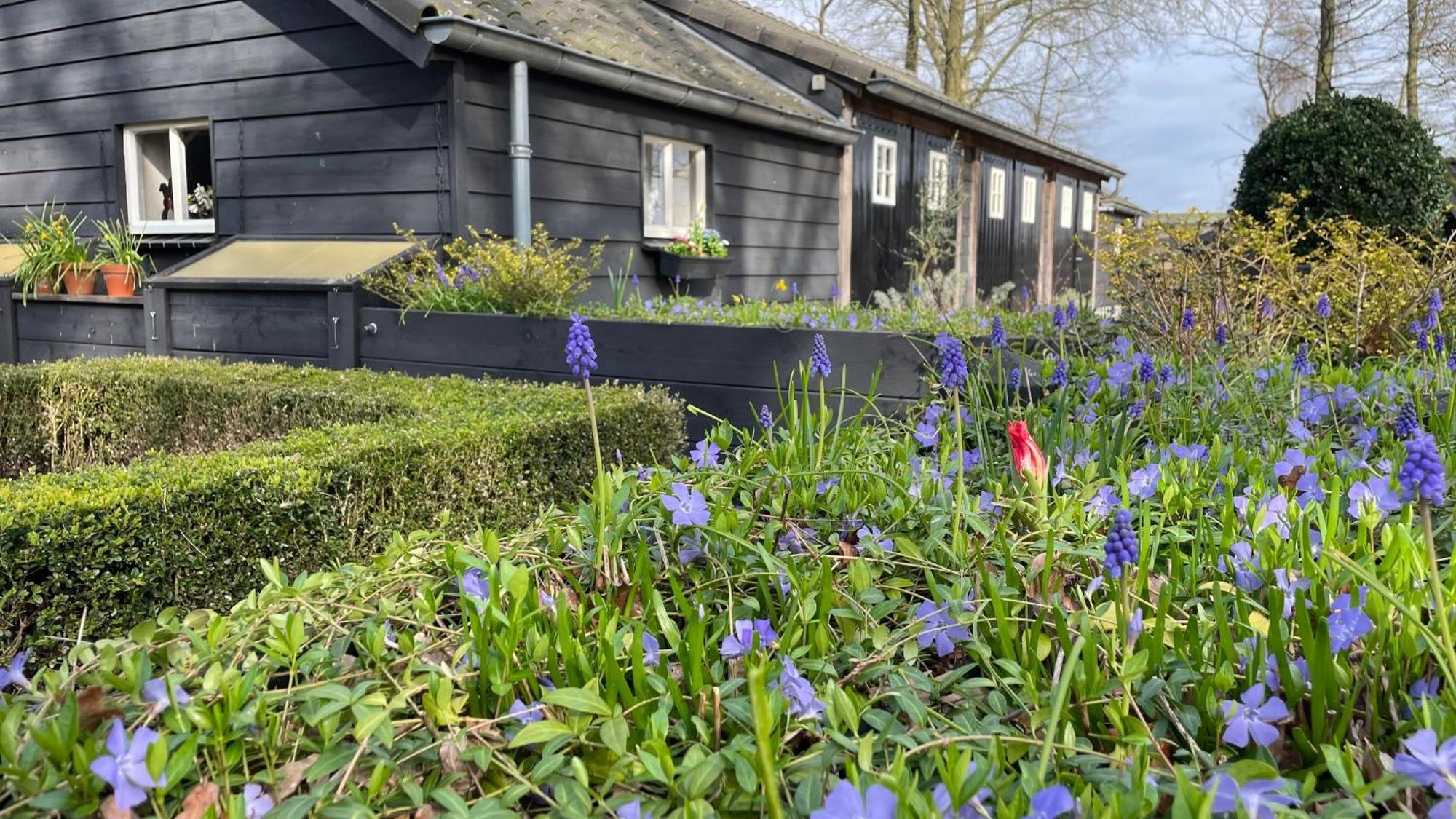 Hoeve Bij Vosselen Asten Esterno foto